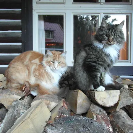 Гостевой дом Turnerova Chata